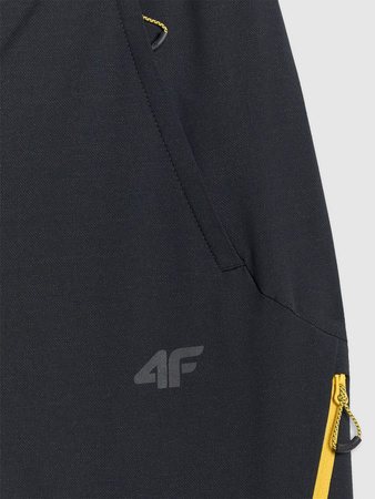 Spodnie trekkingowe męskie 4F 4FRAW25TFTRM1233-20S