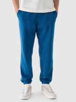 Spodnie dresowe joggery męskie 4F 4FWMM00TTROM1140-46S
