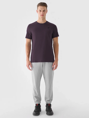 T-shirt męski (ZESTAW KOSZULEK 3 SZT.) 4F 4FWSS25TTSHM3956-91S