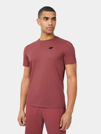 T-shirt męski (ZESTAW KOSZULEK 3 SZT.) 4F 4FWSS24TTSHM1896-91S