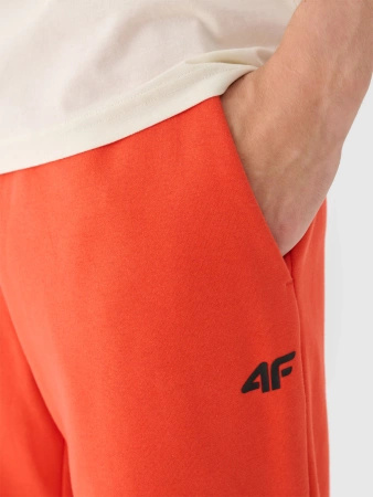 Spodnie dresowe joggery męskie 4F 4FWMM00TTROM1140-62S