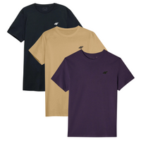 T-shirt męski (ZESTAW KOSZULEK 3 SZT.) 4F 4FWSS25TTSHM3956-91S