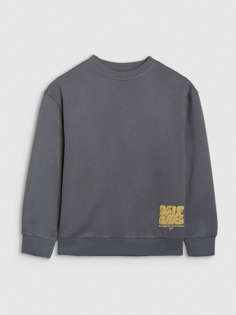 Bluza dresowa oversize nierozpinana bez kaptura chłopięca 4F 4FJRAW25TSWSM2448-22S