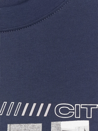 T-shirt regular z nadrukiem męski 4F 4FRAW25TTSHM3364-31S