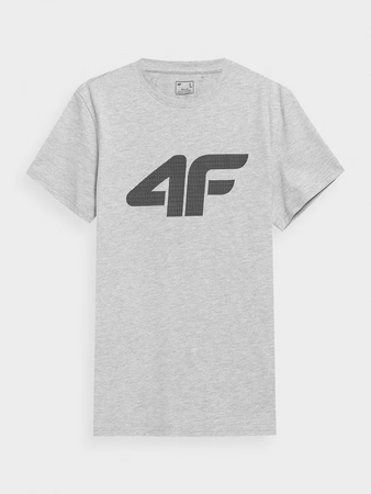T-shirt regular z nadrukiem męski 4F 4FWMM00TTSHM1844-27M