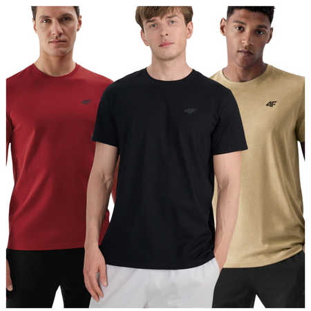 T-shirt męski (ZESTAW KOSZULEK 3 SZT.) 4F 4FWSS25TTSHM3965-92S