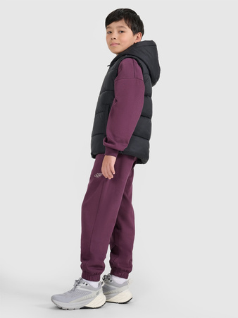 Bezrękawnik puchowy z wypełnieniem syntetycznym dziecięcy 4F 4FJRAW25TVJAU331-20S