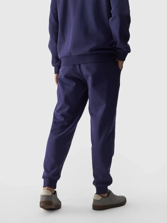 Dresowe spodnie męskie 4F 4FWMM00TTROM0943-31S