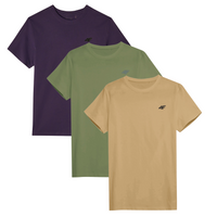 T-shirt męski (ZESTAW KOSZULEK 3 SZT.) 4F 4FWSS25TTSHM3956-92S