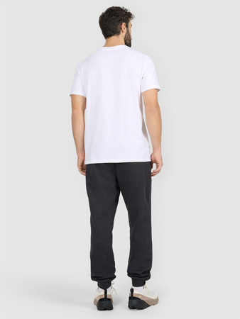 Spodnie dresowe joggery męskie 4F 4FRAW25TTROM1696-22S