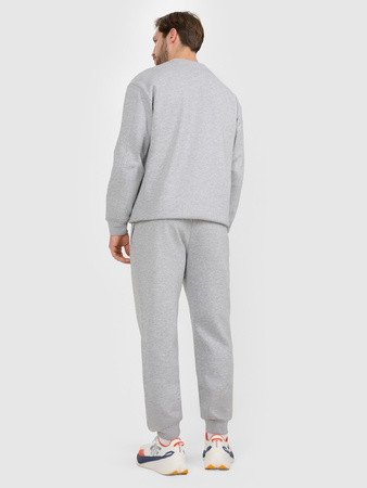 Spodnie dresowe joggery męskie 4F 4FRAW25TTROM1832-27M