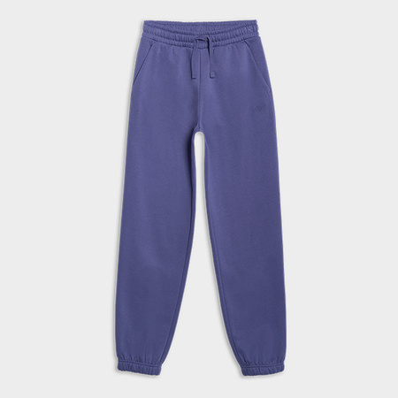 Spodnie dresowe joggery chłopięce 4F 4FJWAW25TTROM1245-33S