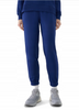 Spodnie dresowe joggery damskie 4F 4FWMM00TTROF1138-031S