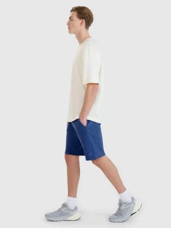 Spodenki męskie dresowe 4F 4FWMM00TSHOM543-031S