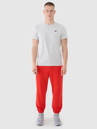 Spodnie dresowe joggery męskie 4F 4FWMM00TTROM1139-62S