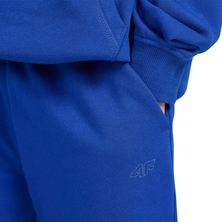 Spodnie dresowe joggery chłopięce 4F 4FJWAW25TTROM1245-36S