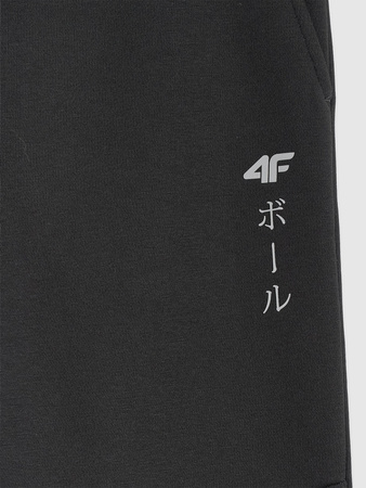 Spodnie dresowe joggery chłopięce 4F 4FJRAW25TTROM1663-20S