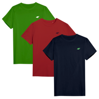 T-shirt męski (ZESTAW KOSZULEK 3 SZT.) 4F 4FWSS25TTSHM3956-90S