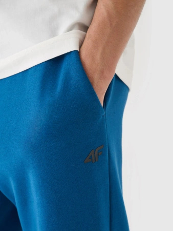 Spodnie dresowe joggery męskie 4F 4FWMM00TTROM1140-46S