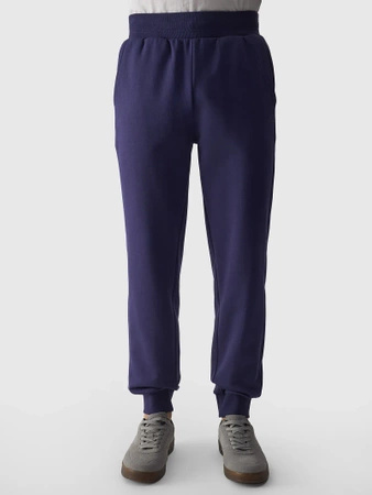 Dresowe spodnie męskie 4F 4FWMM00TTROM0943-31S