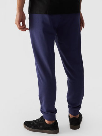 Spodnie dresowe joggery męskie 4F 4FWMM00TTROM0942-31S