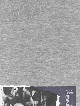 T-shirt regular z nadrukiem męski 4F 4FRAW25TTSHM3364-27M