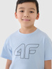 T-shirt chłopięcy oversize z nadrukiem 4F 4FJWSS25TTSHM2325-33S