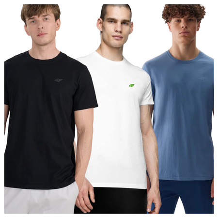 T-shirt męski (ZESTAW KOSZULEK 3 SZT.) 4F 4FWSS25TTSHM3965-93S