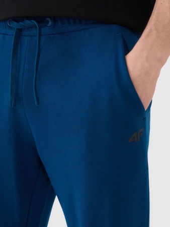 Spodnie męskie dresowe 4F 4FWMM00TTROM1139-46S