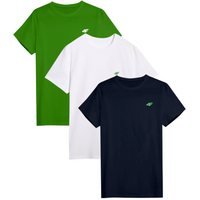 T-shirt męski (ZESTAW KOSZULEK 3 SZT.) 4F 4FWSS25TTSHM3956-93S