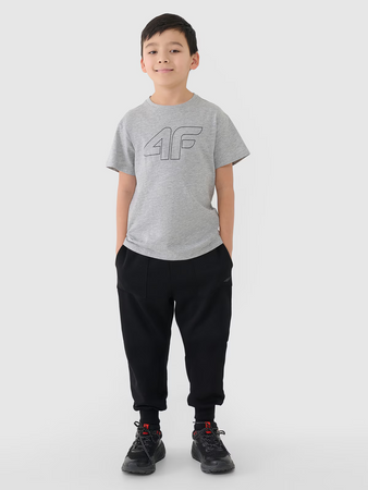 T-shirt z nadrukiem chłopięcy 4F 4FJWMM00TTSHM2331-25M