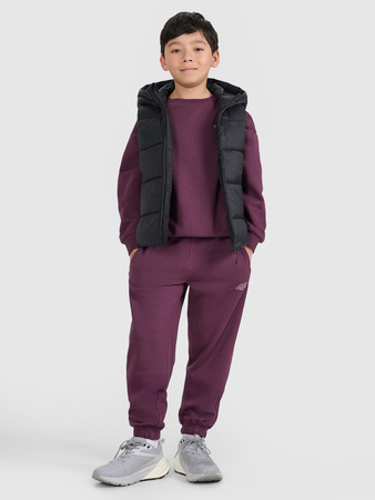 Bezrękawnik puchowy z wypełnieniem syntetycznym dziecięcy 4F 4FJRAW25TVJAU331-20S