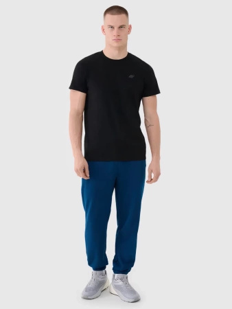 Spodnie męskie dresowe 4F 4FWMM00TTROM1139-46S