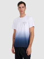 T-shirt regular z nadrukiem męski 4F 4FRAW25TTSHM3226-31S