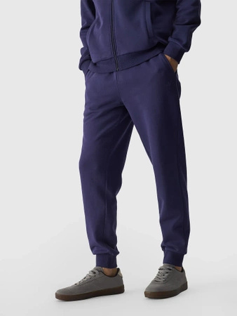 Dresowe spodnie męskie 4F 4FWMM00TTROM0943-31S