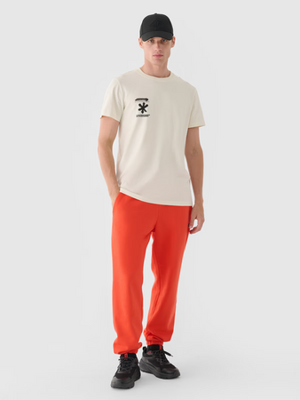 Spodnie dresowe joggery męskie 4F 4FWMM00TTROM1140-62S