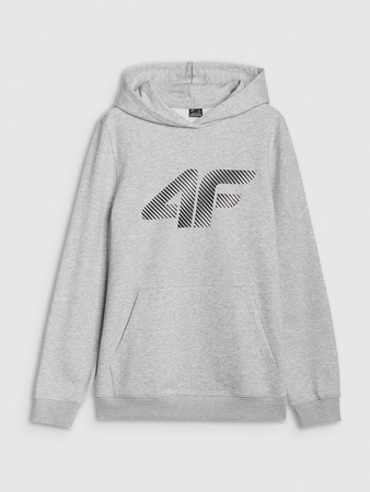 Bluza dresowa nierozpinana z kapturem męska 4F 4FWMM00TSWSM1766-27M