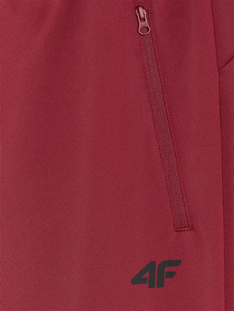 Spodnie treningowe szybkoschnące męskie 4F 4FWAW25TFTRM0936-61S