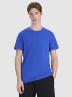 T-shirt regular z nadrukiem męski 4F 4FWSS25TTSHM2239-36S