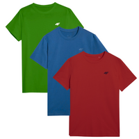 T-shirt męski (ZESTAW KOSZULEK 3 SZT.) 4F 4FWSS25TTSHM3956-96S
