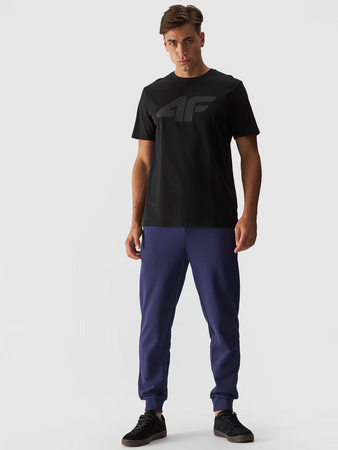 Spodnie dresowe joggery męskie 4F 4FWMM00TTROM0942-31S