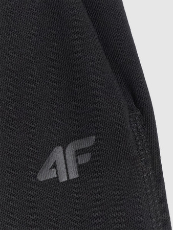 Spodnie dresowe joggery damskie 4F 4FRAW25TTROF1613-20S