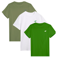 T-shirt męski (ZESTAW KOSZULEK 3 SZT.) 4F 4FWSS25TTSHM3965-96S