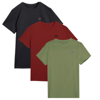T-shirt męski (ZESTAW KOSZULEK 3 SZT.) 4F 4FWSS25TTSHM3965-91S