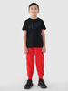 T-shirt z nadrukiem chłopięcy 4F 4FJWSS25TTSHM2179-20S
