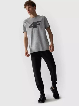 T-shirt regular z nadrukiem męski 4F