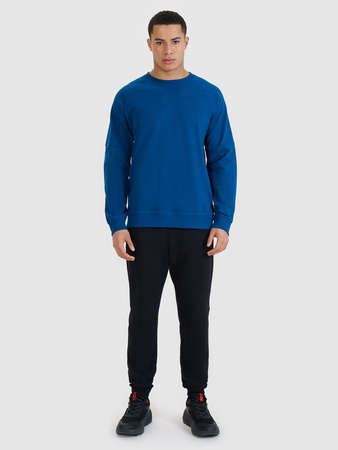 Bluza dresowa nierozpinana bez kaptura męska 4F 4FRSS25TSWSM2179-46S