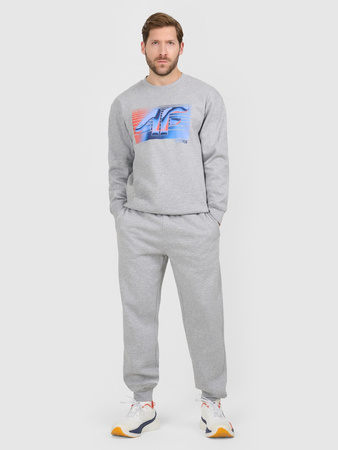 Spodnie dresowe joggery męskie 4F 4FRAW25TTROM1832-27M