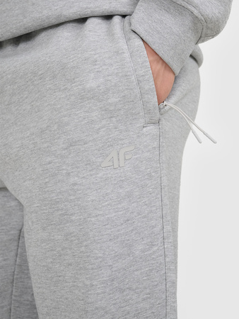 Spodnie dresowe joggery męskie 4F 4FRAW25TTROM1832-27M