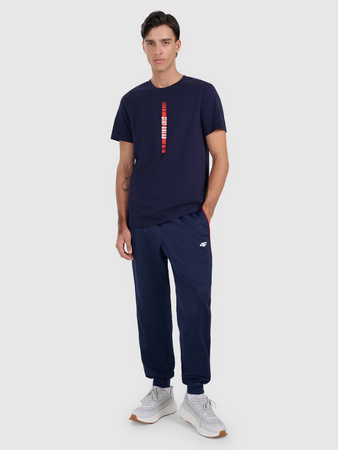 T-shirt regular z nadrukiem męski 4F 4FRAW25TTSHM3225-31S